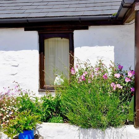 Stunning Annexe 1 Luxury Bedroom, Eating Area & Bathroom Only! Truro Zewnętrze zdjęcie
