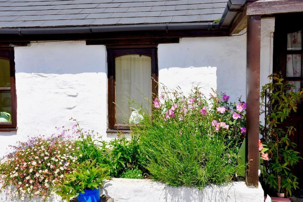 Stunning Annexe 1 Luxury Bedroom, Eating Area & Bathroom Only! Truro Zewnętrze zdjęcie