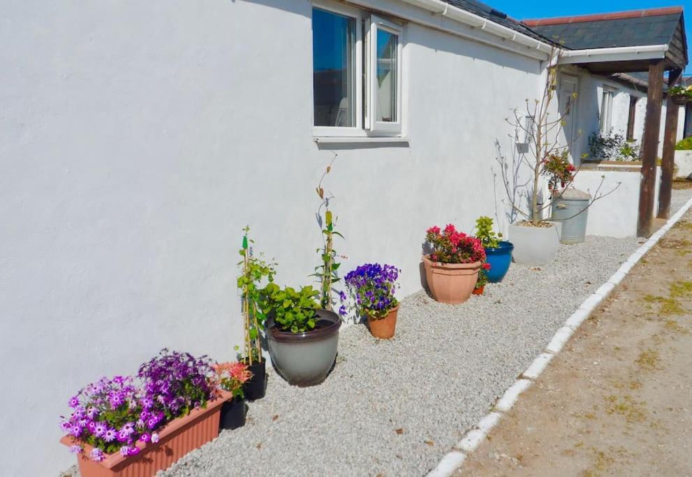 Stunning Annexe 1 Luxury Bedroom, Eating Area & Bathroom Only! Truro Zewnętrze zdjęcie